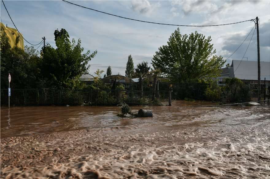 karditsa04